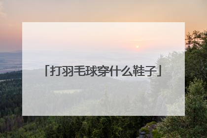 打羽毛球穿什么鞋子