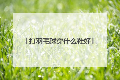 打羽毛球穿什么鞋好