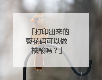 打印出来的葵花码可以做核酸吗?