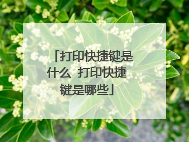 打印快捷键是什么 打印快捷键是哪些