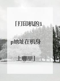 打印机的ip地址在机身上哪里
