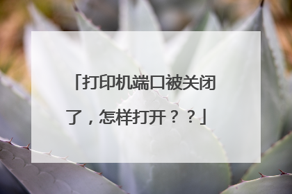 打印机端口被关闭了，怎样打开？？