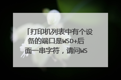 打印机列表中有个设备的端口是WSD+后面一串字符，请问WSD端口是什么，有什么作用？谢谢。