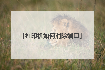 打印机如何消除端口