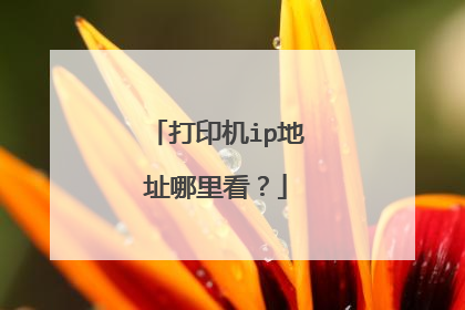 打印机ip地址哪里看?