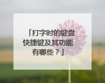打字时的键盘快捷键及其功能有哪些?