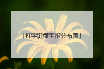 打字键盘手指分布图