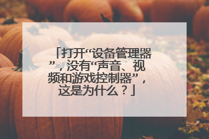打开“设备管理器”,没有“声音、视频和游戏控制器”,这是为什么?