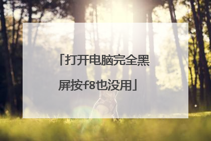 打开电脑完全黑屏按f8也没用