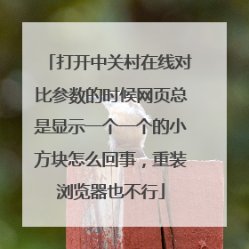 打开中关村在线对比参数的时候网页总是显示一个一个的小方块怎么回事，重装浏览器也不行