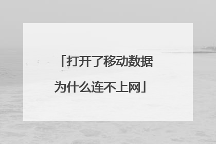 打开了移动数据为什么连不上网