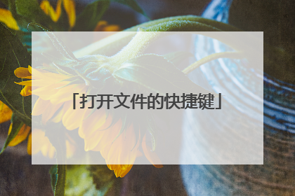 打开文件的快捷键