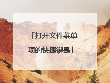 打开文件菜单项的快捷键是