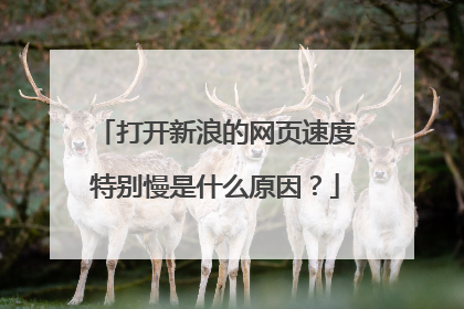 打开新浪的网页速度特别慢是什么原因?