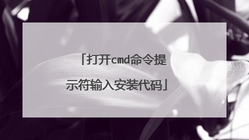 打开cmd命令提示符输入安装代码