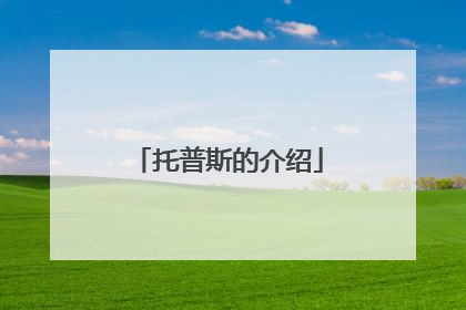 托普斯的介绍