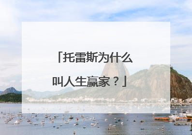 托雷斯为什么叫人生赢家?