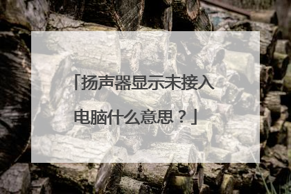 扬声器显示未接入电脑什么意思?