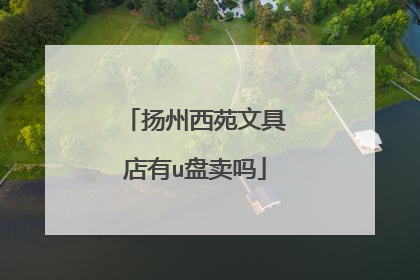 扬州西苑文具店有u盘卖吗