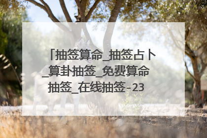 抽签算命_抽签占卜_算卦抽签_免费算命抽签_在线抽签-2345占卜m版