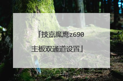 技嘉魔鹰z690主板双通道设置