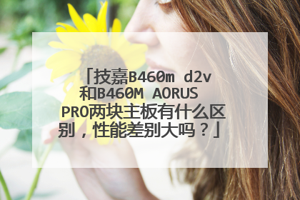 技嘉B460m d2v和B460M AORUS PRO两块主板有什么区别,性能差别大吗?