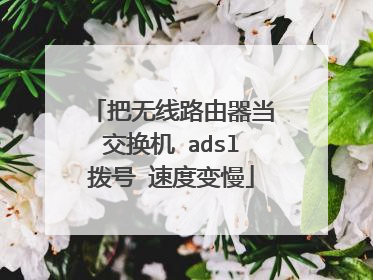 把无线路由器当交换机 adsl拨号 速度变慢