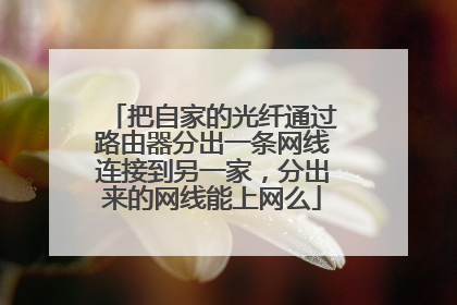 把自家的光纤通过路由器分出一条网线连接到另一家，分出来的网线能上网么