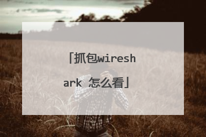 抓包wireshark 怎么看