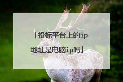 投标平台上的ip地址是电脑ip吗