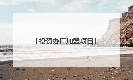 投资办厂加盟项目