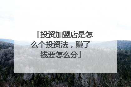 投资加盟店是怎么个投资法，赚了钱要怎么分