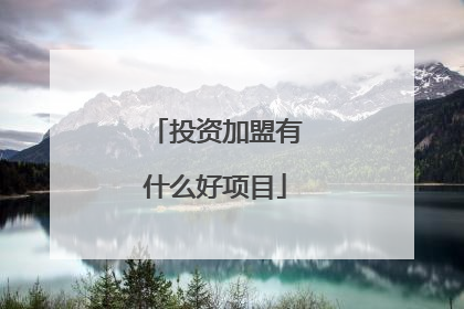 投资加盟有什么好项目