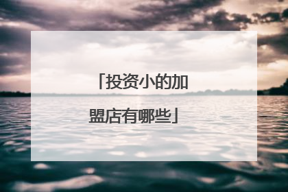 投资小的加盟店有哪些