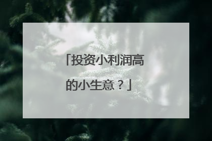 投资小利润高的小生意？