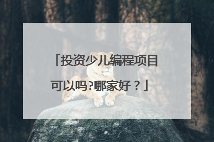 投资少儿编程项目可以吗?哪家好?