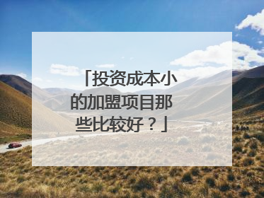 投资成本小的加盟项目那些比较好?