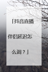 抖音直播伴侣延迟怎么调？