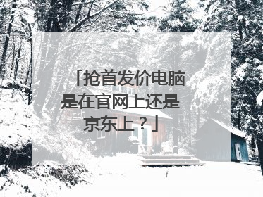 抢首发价电脑是在官网上还是京东上?