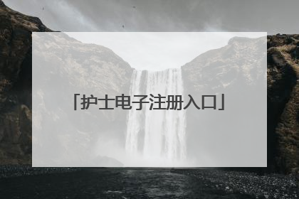 护士电子注册入口