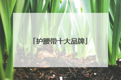 护腰带十大品牌