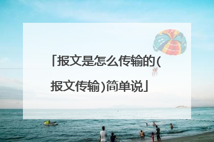 报文是怎么传输的(报文传输)简单说