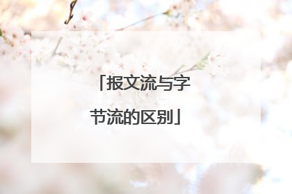 报文流与字节流的区别