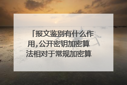 报文鉴别有什么作用,公开密钥加密算法相对于常规加密算法有什么优点?