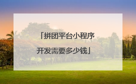 拼团平台小程序开发需要多少钱