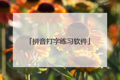 拼音打字练习软件