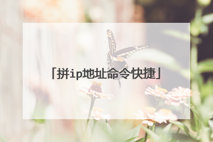 拼ip地址命令快捷