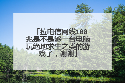 拉电信网线100兆是不是够一台电脑玩绝地求生之类的游戏了，谢谢