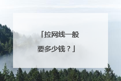 拉网线一般要多少钱？