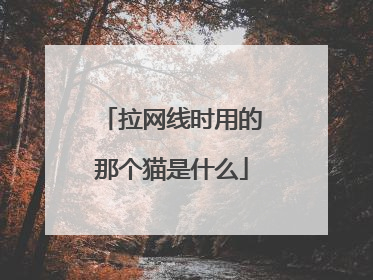 拉网线时用的那个猫是什么